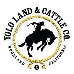Yolo Land and Cattle logo