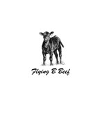 Flying B Beef logo