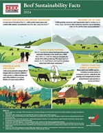 Beef Sustainability 2024 thumbnail