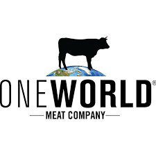 one world logo one world logo