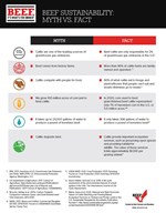 Sustainability Myth Fact